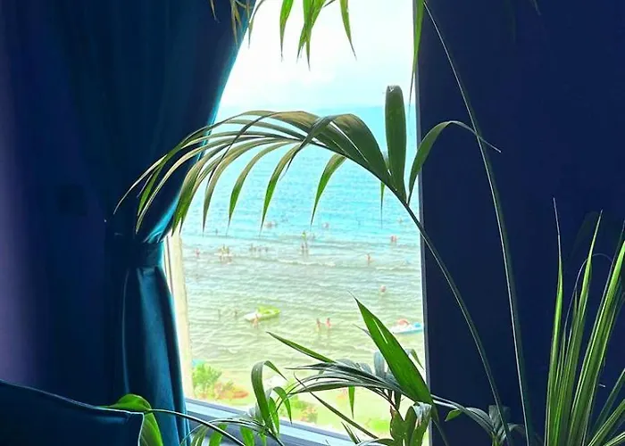 Funky Breeze By The Sea